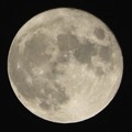 Photos: 今夜のお月さま～♪