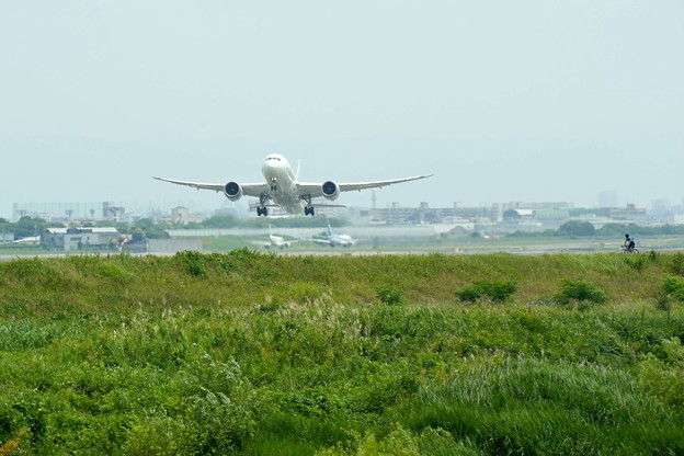 大空へ JAL Boeing 787-8 Dreamliner