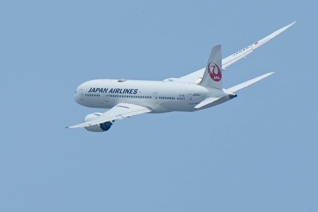 大空へ JAL Boeing 787-8 Dreamliner