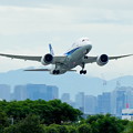 Photos: 大空へ 離陸　ANA 787-8 Dreamliner