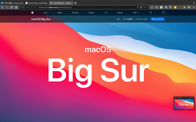 macOS Big Sur：スクリーンショット撮影後にサムネイル表示 - 1
