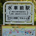 Photos: 愛岐トンネル群 2021 春の一般公開 - 99：水車前駅