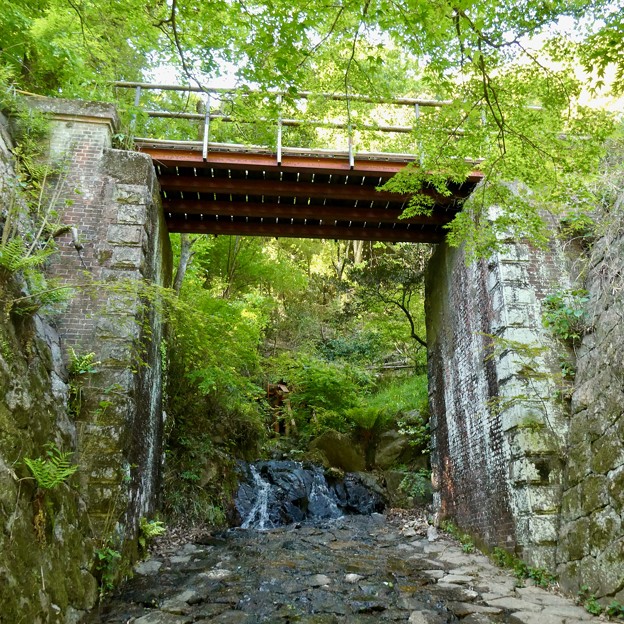 愛岐トンネル群 2021 春の一般公開 - 154：見学コース内に設けられた橋