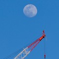 Photos: 建設中のマンションのクレーンと上ったばかりの白い満月 - 2