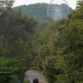 Photos: 陸橋から見た尾張パークウェイ（愛知県道461号犬山自然公園線） - 5：モンキーパークの観覧車