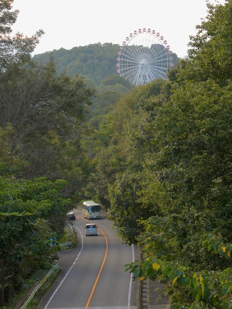 陸橋から見た尾張パークウェイ（愛知県道461号犬山自然公園線） - 7：モンキーパークの観覧車