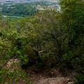 Photos: 継鹿尾山の南側登山道 - 3