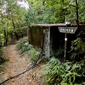 Photos: 継鹿尾山頂上から寂光院への道 - 31