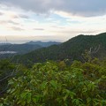 Photos: 継鹿尾山の登山道から見た景色 - 1：各務原方面