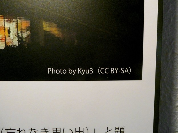 Photos: イーアス春日井のステンドグラスの説明パネル - 3：私の写真が使用されました！