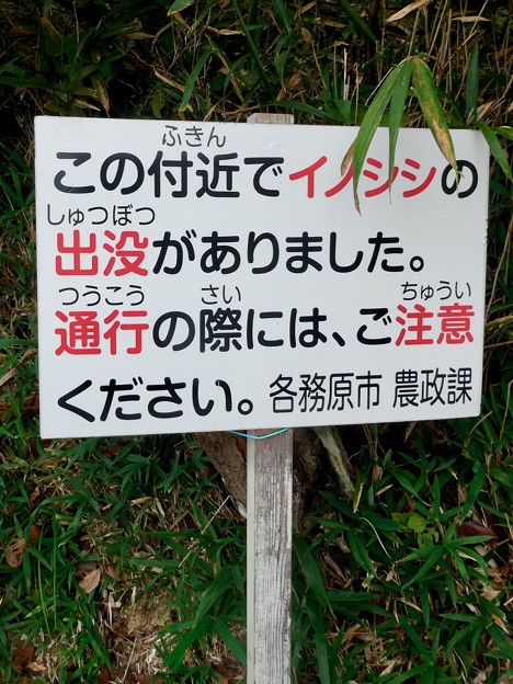 日本ラインうぬまの森：陰平山の麓にある看板 - 2（イノシシ注意）
