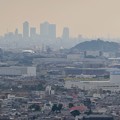 Photos: 日本ラインうぬまの森：眺望の丘から見た景色 - 6（名駅ビル群と小牧山）