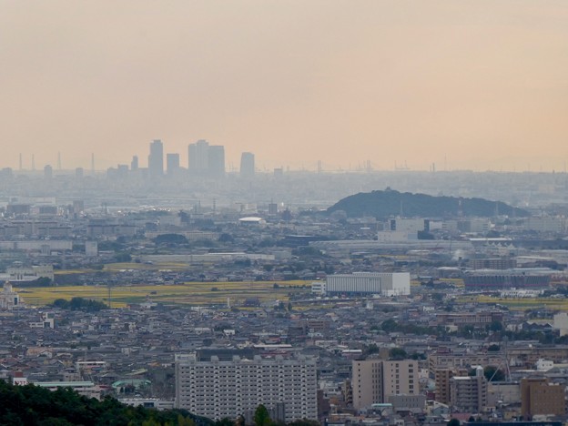 日本ラインうぬまの森：展望塔広場から見た景色 - 10（名駅ビル群と小牧山）