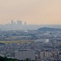 日本ラインうぬまの森：展望塔広場から見た景色 - 10（名駅ビル群と小牧山）