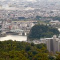 Photos: 日本ラインうぬまの森：展望塔広場から見た景色 - 14（犬山橋と鵜沼城跡）