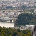 Photos: 日本ラインうぬまの森：展望塔広場から見た景色 - 15（犬山橋と鵜沼城跡）