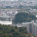 Photos: 日本ラインうぬまの森：展望塔広場から見た景色 - 34（犬山橋と鵜沼城跡）
