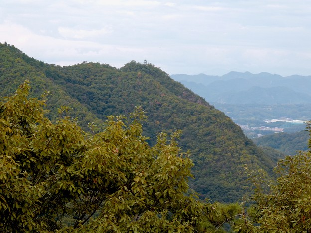日本ラインうぬまの森：展望塔広場から見た景色 - 38（猿啄城展望台）