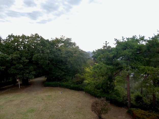 日本ラインうぬまの森：展望塔広場から見た景色 - 39