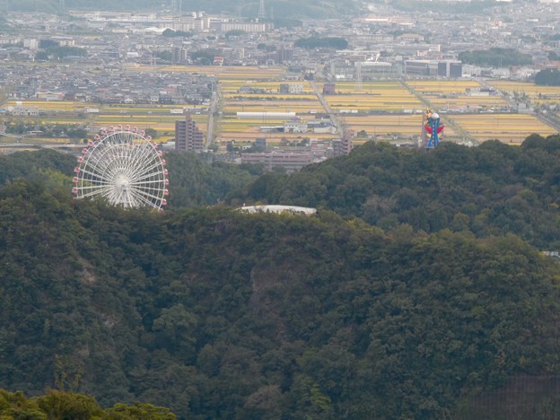 日本ラインうぬまの森：展望塔広場から見た景色 - 42（モンキーパークの観覧車）