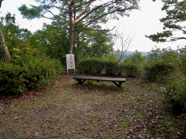 日本ラインうぬまの森：陰平山三角点近くの展望スペース