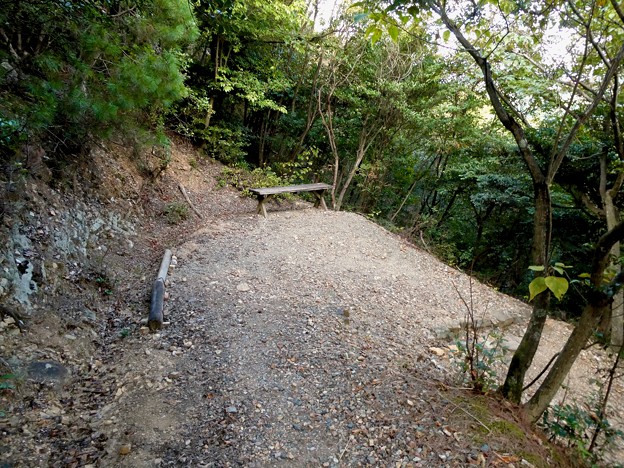 日本ラインうぬまの森：眺望の道 - 10