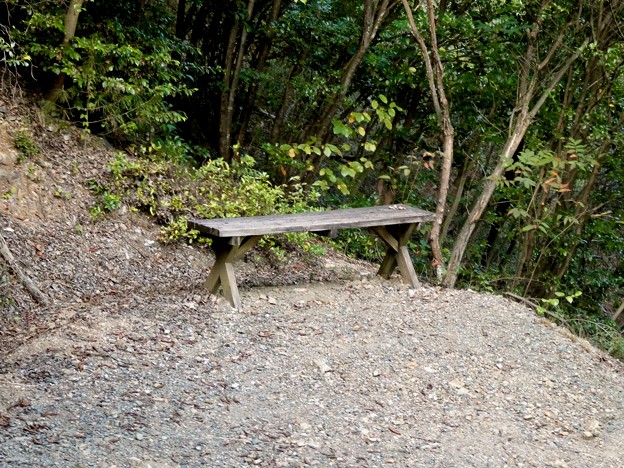 日本ラインうぬまの森：眺望の道 - 11