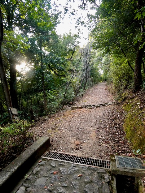 日本ラインうぬまの森：眺望の道 - 16