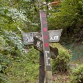 Photos: 日本ラインうぬまの森：新鵜沼台側の登山道入り口 - 6