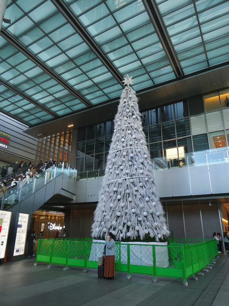 ゲートタワー前に設置されてたクリスマスツリー（2021年11月3日）- 1
