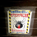 桃花台中央公園：ベンチにもセアカゴケグモ注意の張り紙 - 2