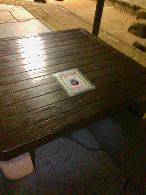 桃花台中央公園：ベンチにもセアカゴケグモ注意の張り紙 - 3