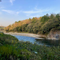 永保寺沿いから見た土岐川 - 5