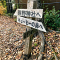 Photos: 伊木山の山頂 - 6