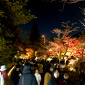 東山動植物園 紅葉ライトアップ 2022 - 4