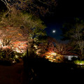 東山動植物園 紅葉ライトアップ 2022 - 14