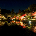 東山動植物園 紅葉ライトアップ 2022 - 21