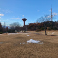 すっかり雪が消えてた桃花台中央公園 - 1