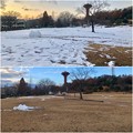 すっかり雪が消えてた桃花台中央公園 - 4