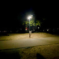 Photos: 夜景モードで撮影した街灯と木 - 1