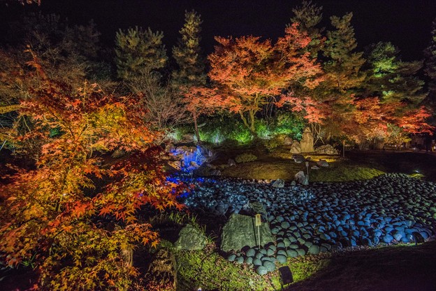 京の秋　４　ライトアップ