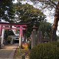 Photos: 氷川神社の彼岸花 (1)