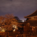 お寺の屋根と桜
