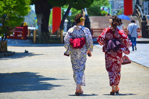 今日も暑かった鶴岡八幡宮 #鎌倉 #湘南 #kamakura #shrine #神社 #鶴岡八幡宮