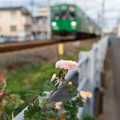 Photos: 東急多摩川線沿線