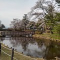 Photos: 長峰公園の桜の見える池（3月27日）