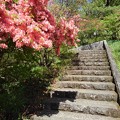 Photos: 長峰公園の丘の階段と道（4月18日）