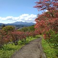 Photos: 奥に山が見える長峰公園の丘の道（4月18日）