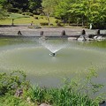 Photos: 那須野が原公園の池の噴水（5月6日）