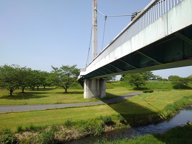 ゆうゆうパークの陸橋と小川（5月4日）